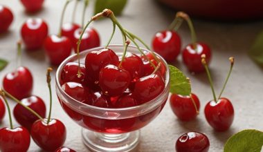 Can You Eat Maraschino Cherries on the Mediterranean Diet